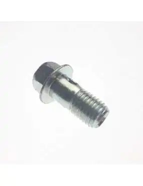 OIL BOLT M10x1,25