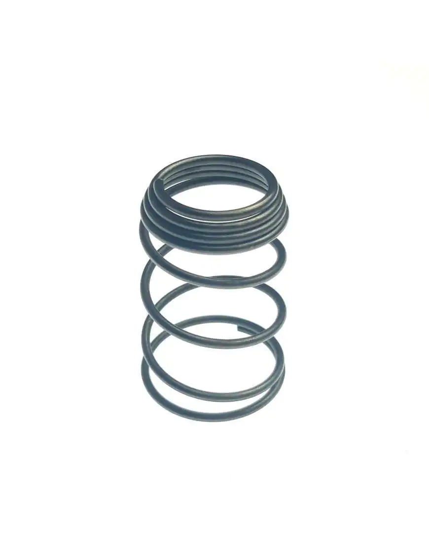 Oil Filter Screen Spring