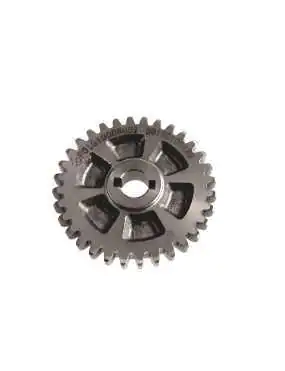 OIL PUMP DRIVEN GEAR