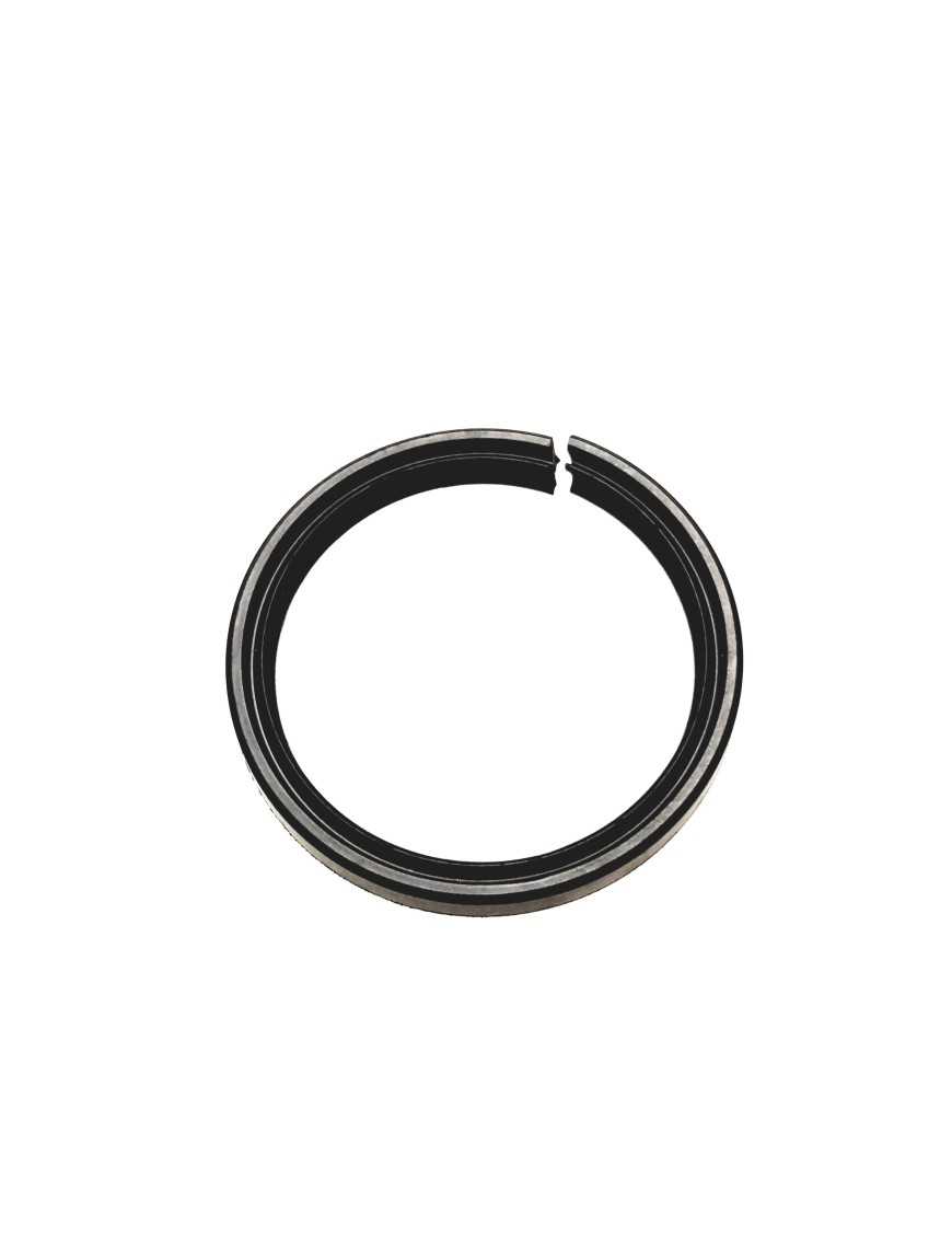 Oil Seal