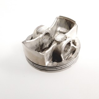 Piston (race)