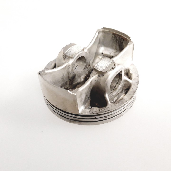 Piston (race)
