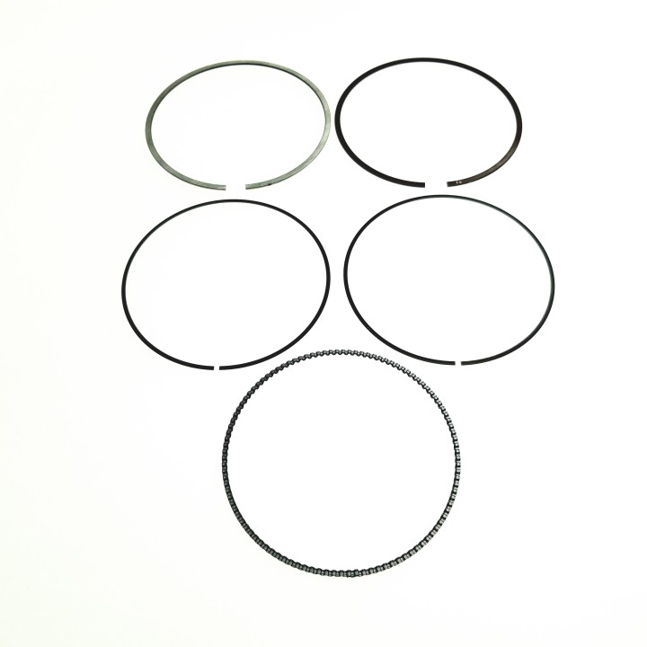 Piston Ring (race)