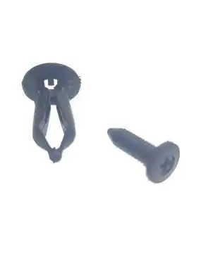 Plastic Screw