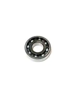 RADIAL BALL BRG. 6204