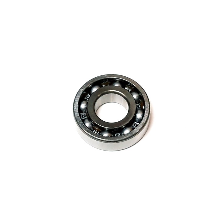 RADIAL BALL BRG. 6204