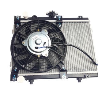 Radiator Assembly