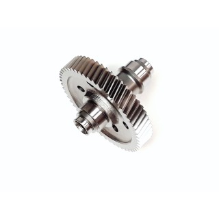 REAR AXLE OUTPUT GEAR