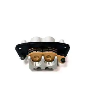 Rear Brake Caliper, RH