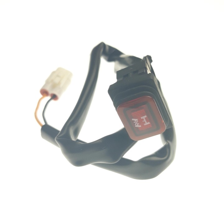 REAR DIFFERENTIAL SWITCH