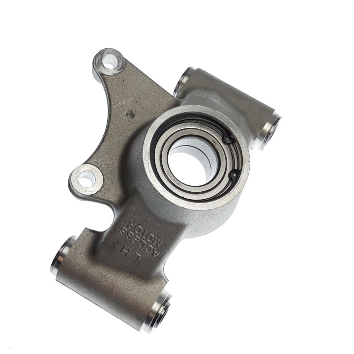 Rear Knuckle Assy, L.