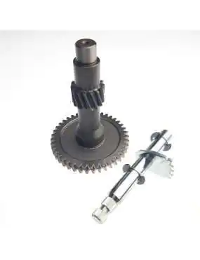 Reverse Gear Shaft Assembly