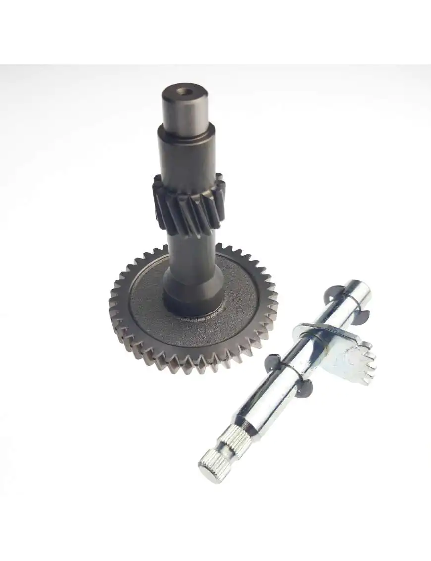 Reverse Gear Shaft Assembly