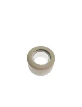 ROLLER WEIGHT 16g (LINHAI 500) 1pcs