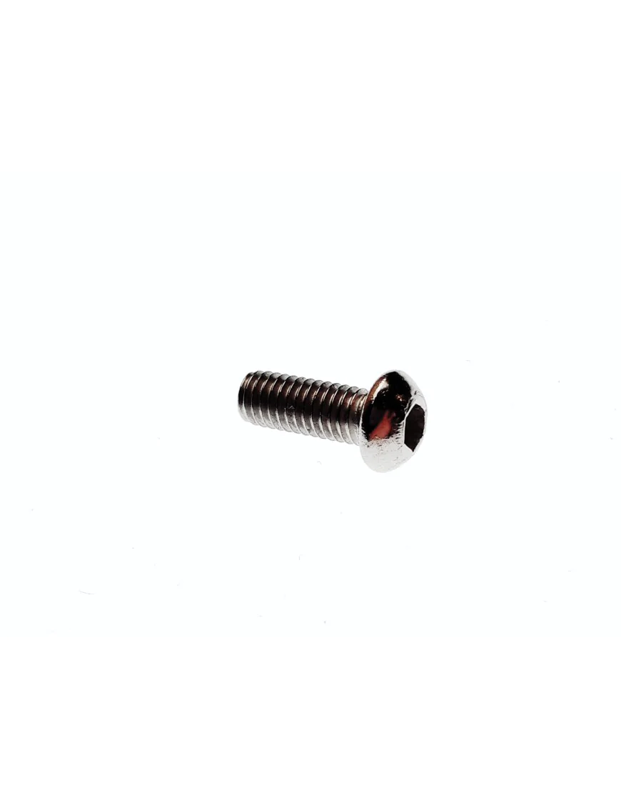 SCREW M6×16