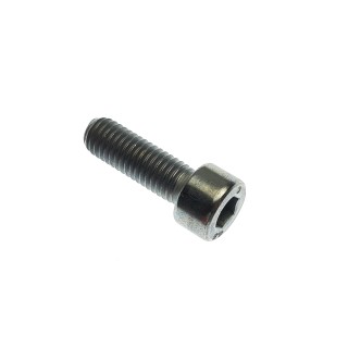 SCREW M8×25