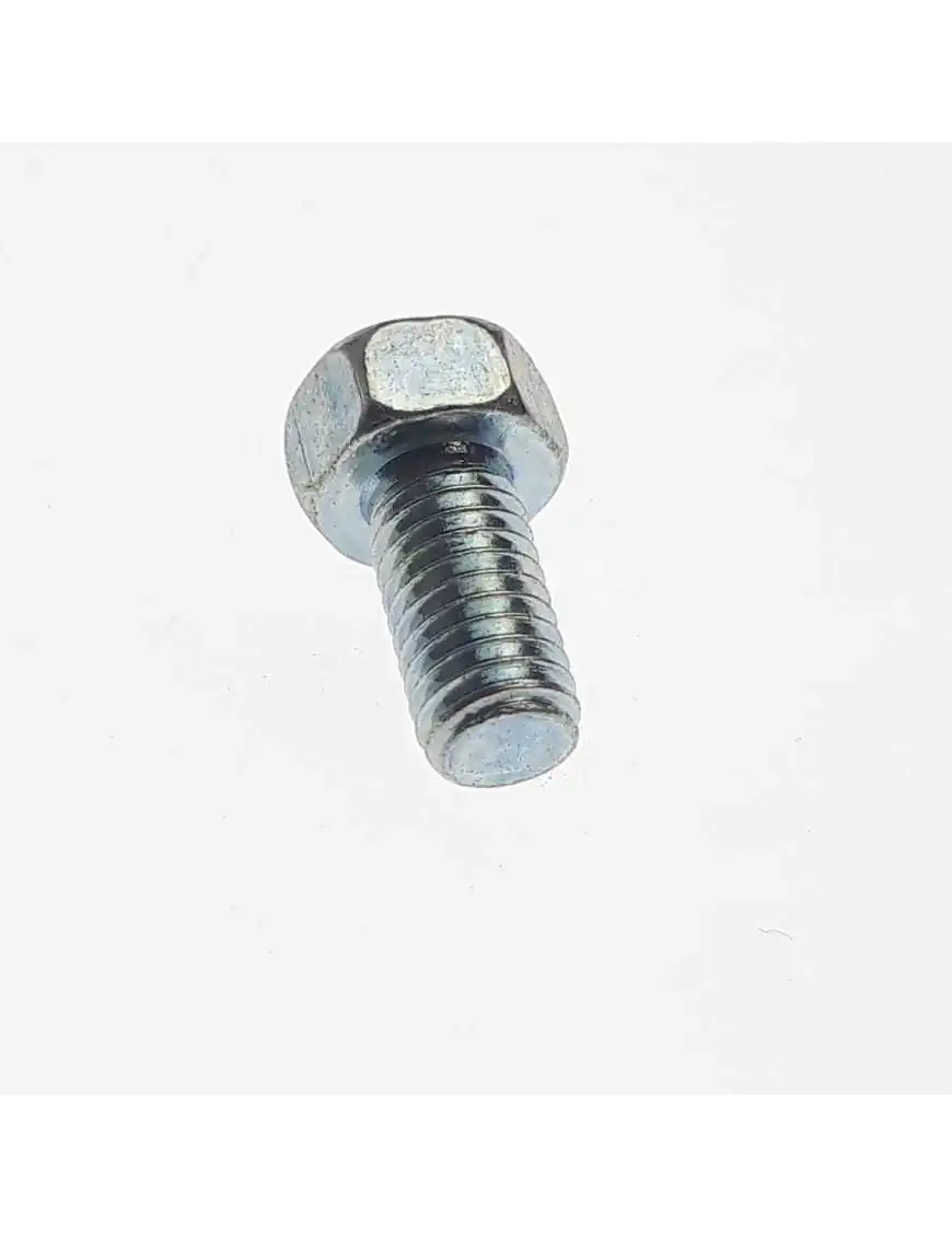 SCREW OVAL HEAD M5X10