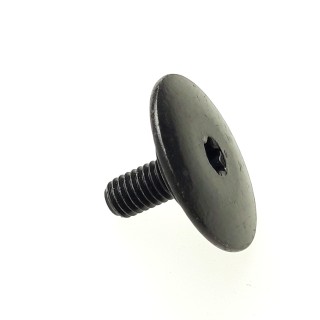SCREW, BODY 6MM