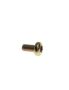 SCREW, MACH-TSPNH M5X1.0X10 CL8.8 Z&Y