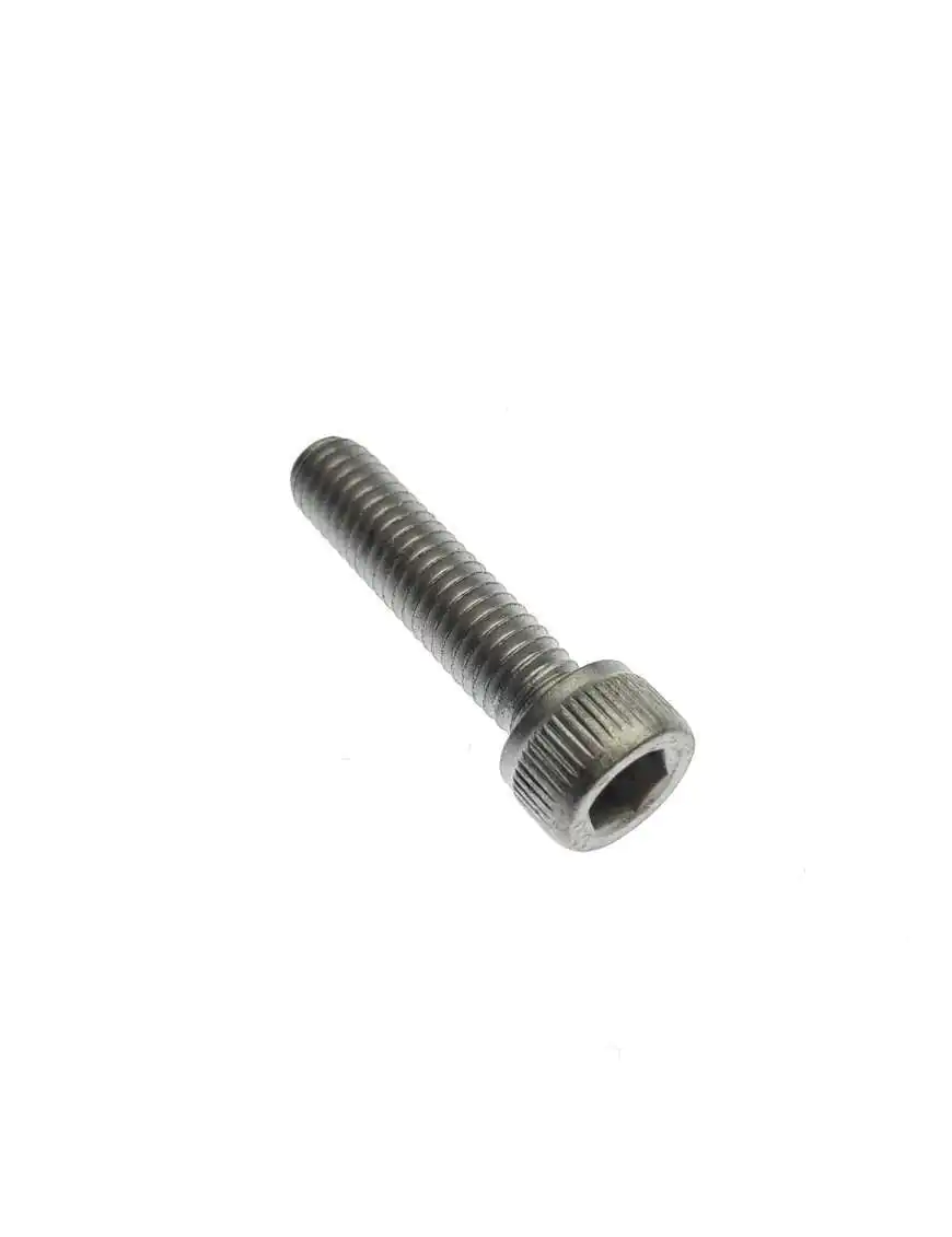 SCREW, SOCKET HEAD M6X25