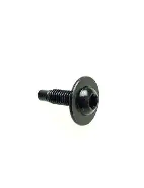 SCREW,MAC-TSBWH M6 X 1.0 TRILOBE RIE BL