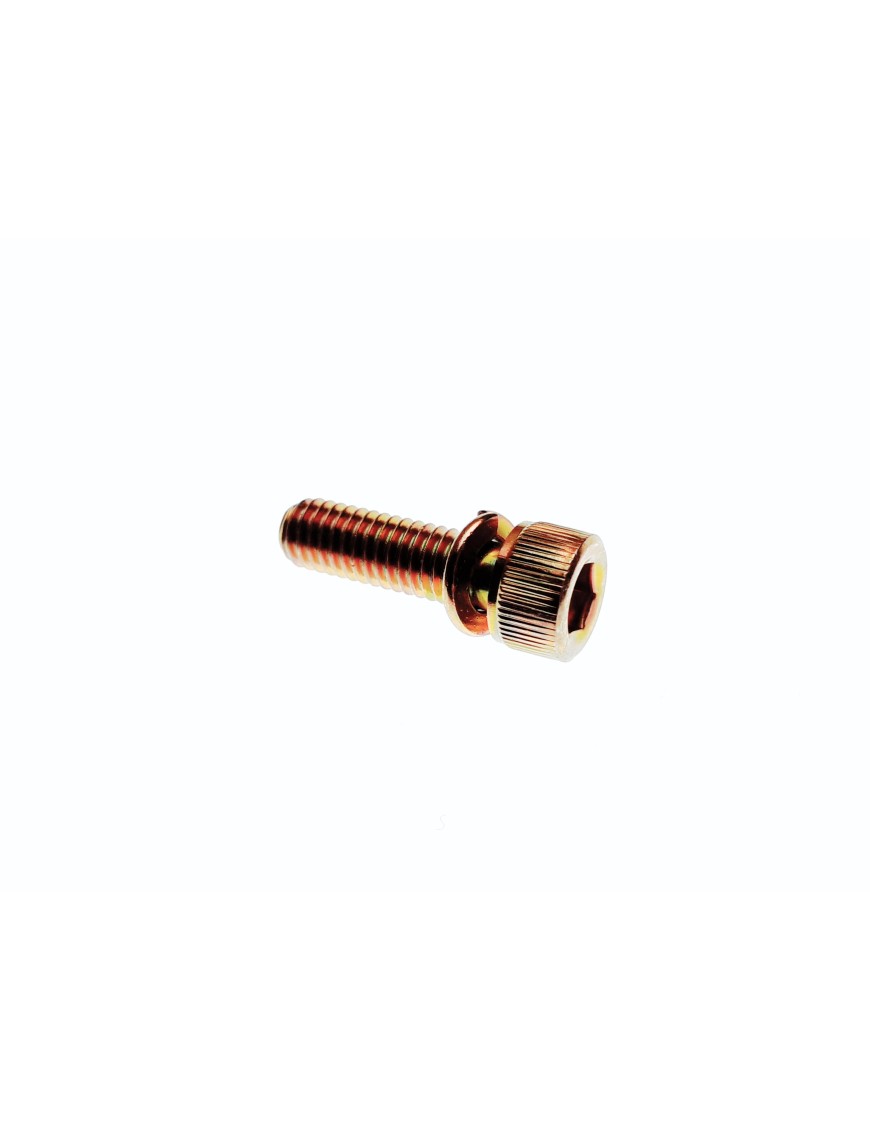 SCREW,SOCKET HEAD M6X20