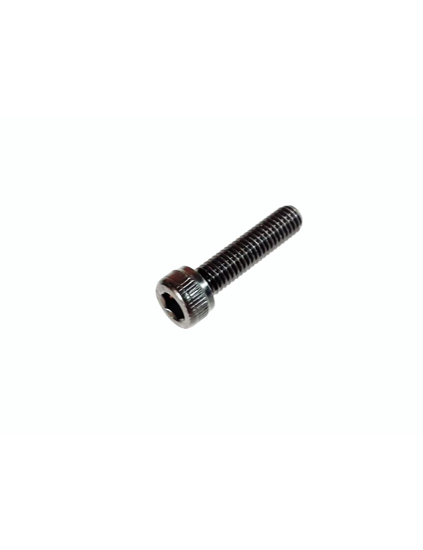 SCREW,SOCKET HEAD M6X25