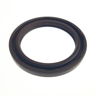 SEAL 45X60X7
