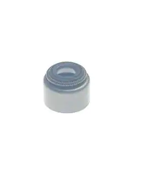 SEAL VALVE STEM