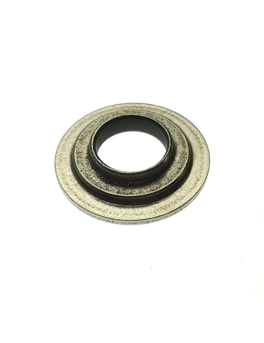 SEAT, valve spring