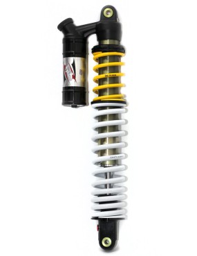 Shock Absorber, Front, with GAS