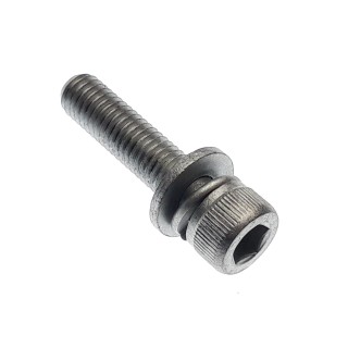 SPECIAL SCREW