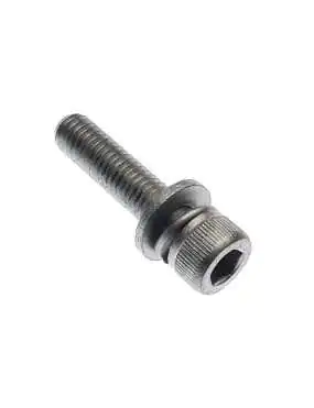 SPECIAL SCREW