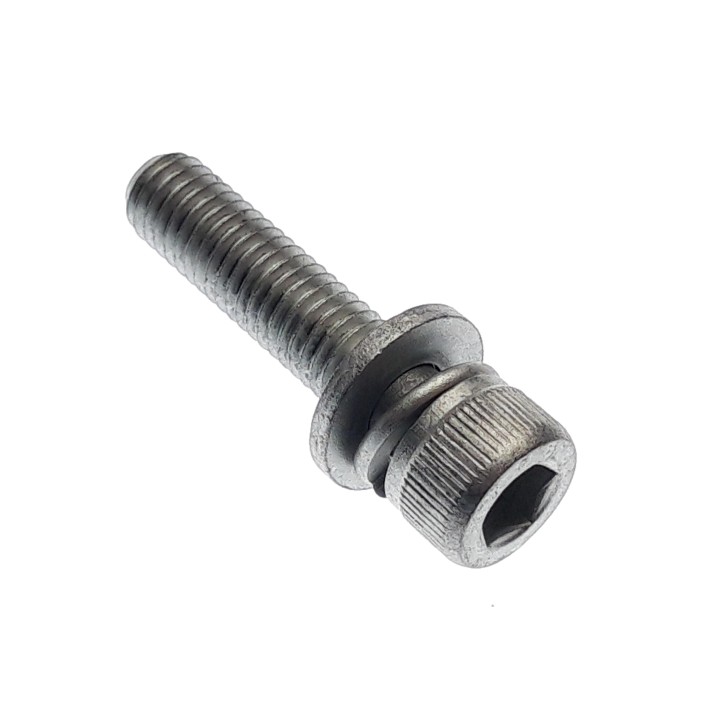 SPECIAL SCREW