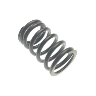 SPRING, VALVE, OUTER