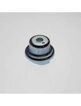 STARTER PULLEY (200cc)