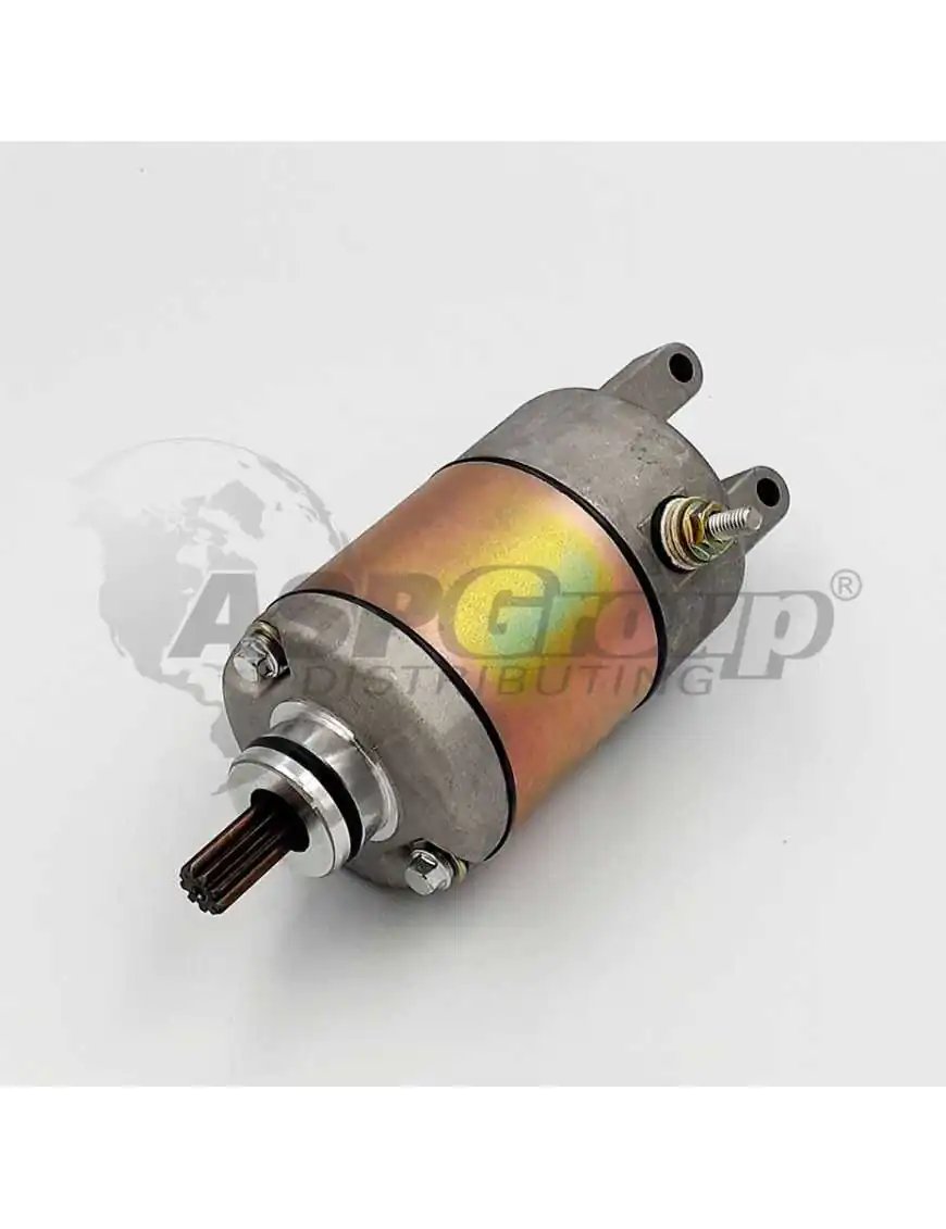 STARTING MOTOR ASSY