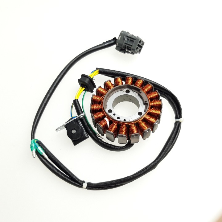 Stator (coil)