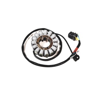 Stator (coil)