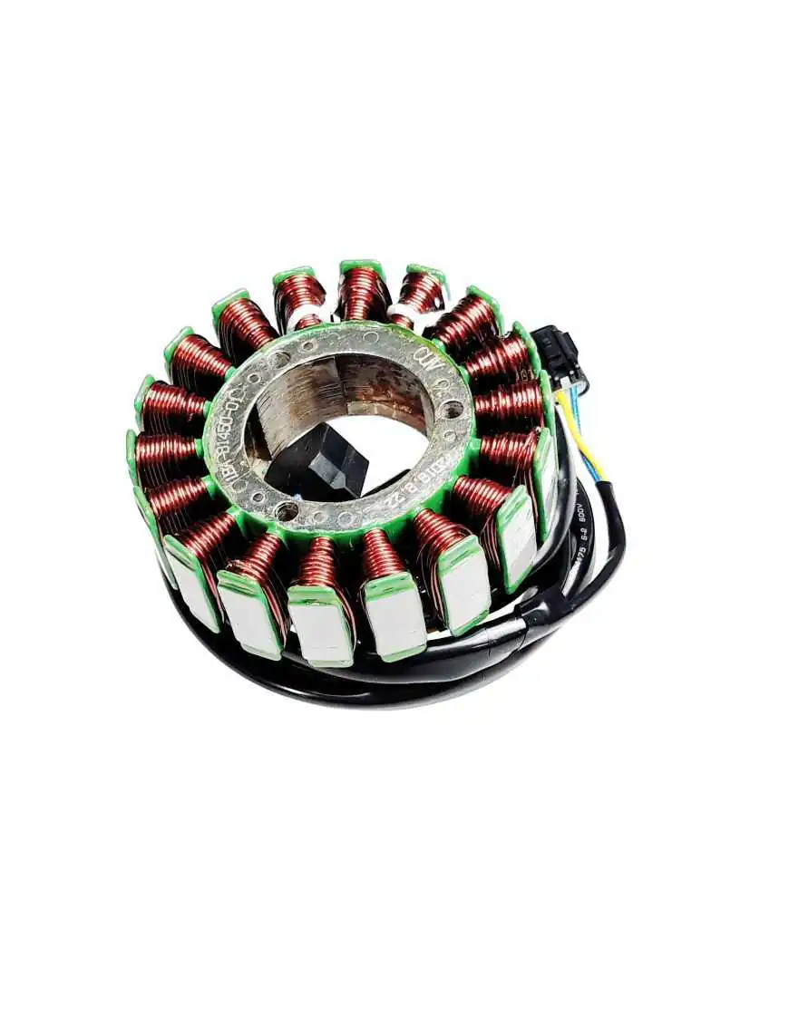 STATOR ASSY