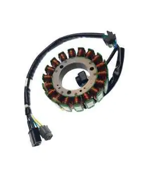 STATOR ASSY