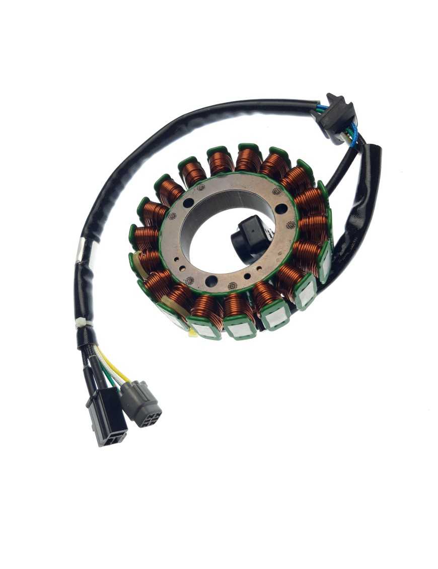 STATOR ASSY