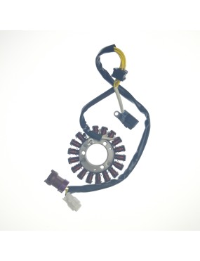 STATOR ASSY (USED FOR WATERPROOF PLUG UNIT)