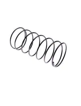 STRAINER FILTER SPRING