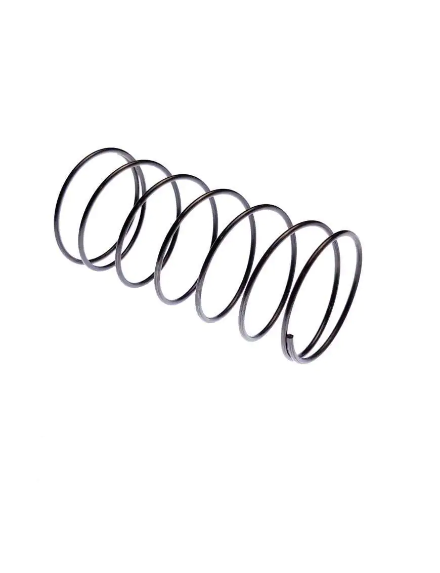 STRAINER FILTER SPRING