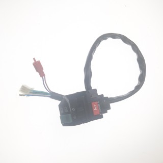 SWITCH ASSY (05 MODEL 50TH MODEL)