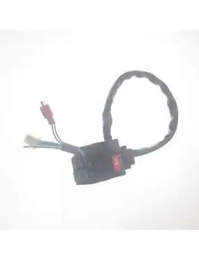 SWITCH ASSY (05 MODEL 50TH MODEL)