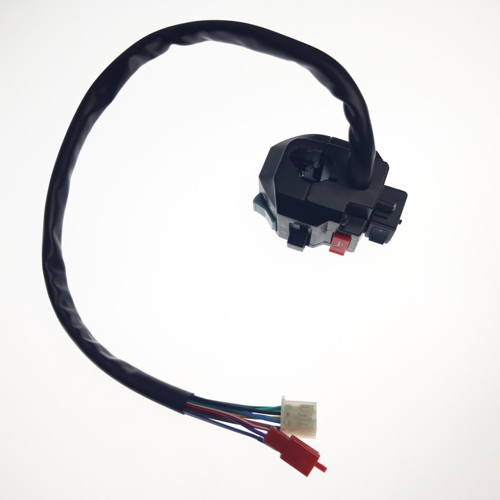 SWITCH ASSY（ONLY FOR EUROPE，Dipped headlight on）