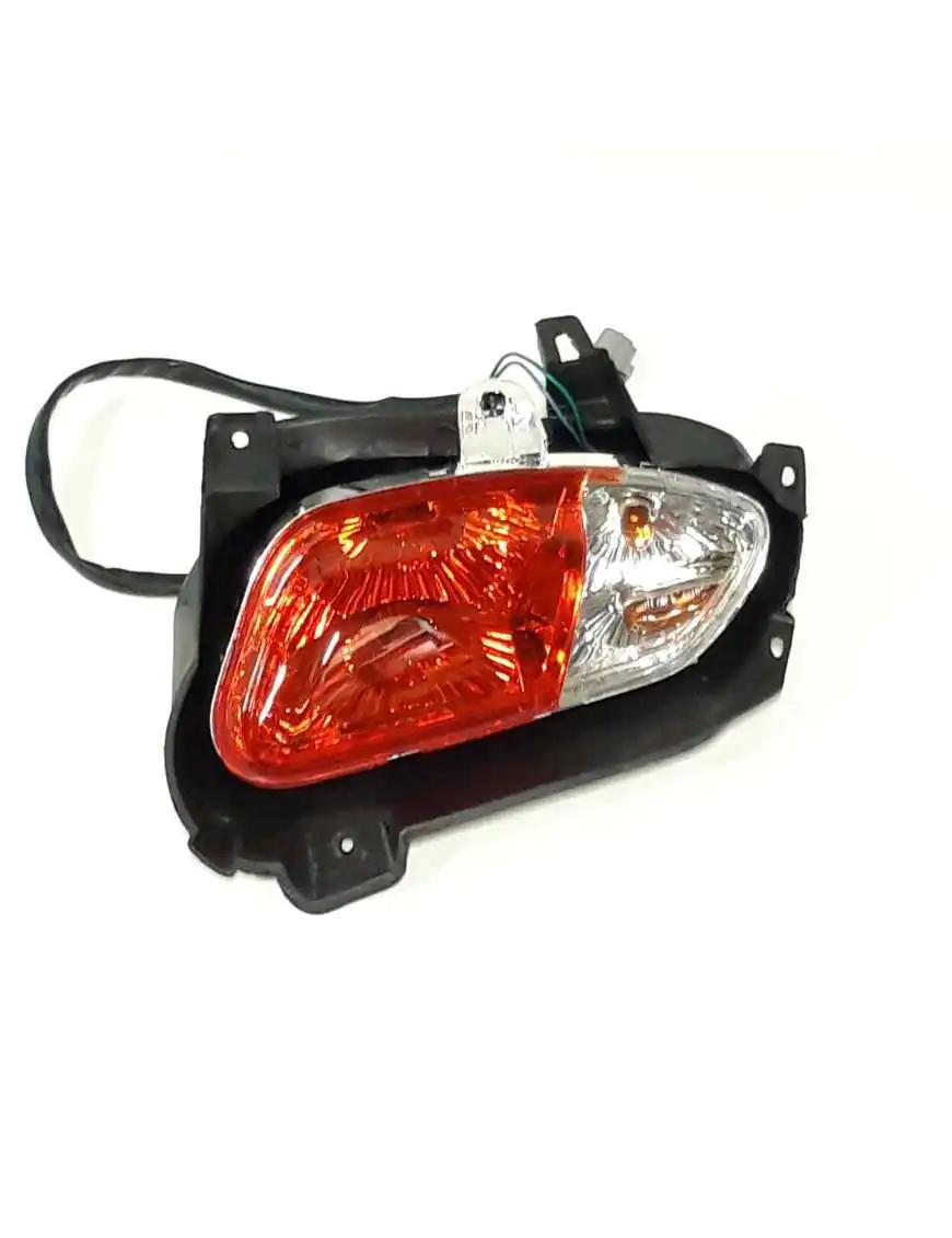 TAILLIGHT,R.ASSY