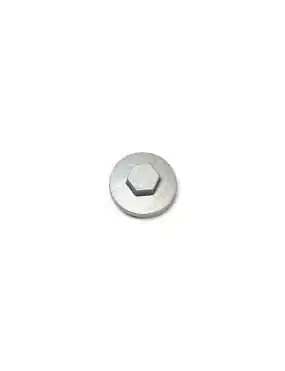 TAPPET ADJ HOLE CAP ASSY.